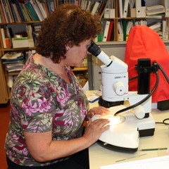 Ecomonitor Oy:n asiantuntijat tekevt biologisia mrityksi