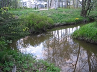 Ecomonitor Ltd hat eine Gewsserbewertung des Kylmjoki-Bachs in Vantaa durchgefhrt