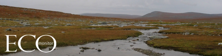 Pyhseln vedenlaatu selvitetn vesisttutkimuksen avulla