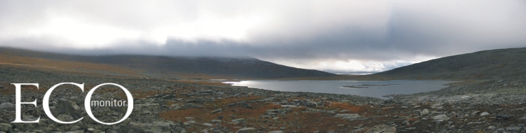 Ecomonitor