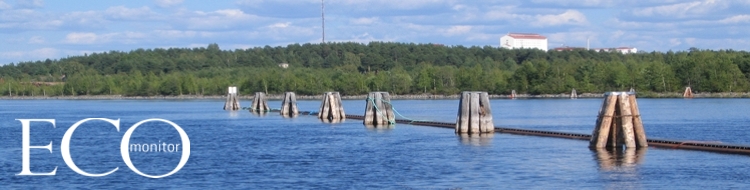 Ecomonitor Oy:n kotipaikka on Joensuu, Pielisjoen ja Pyhseln rannalla, josta olemme mrittneet ekologisen tilan. Tss nkym Pielisjoelta.