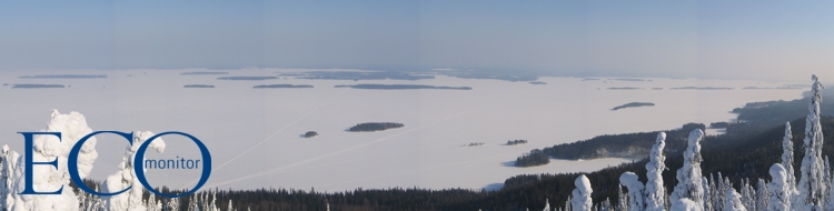 Der Pielinen-See vom Gipfel des Koli